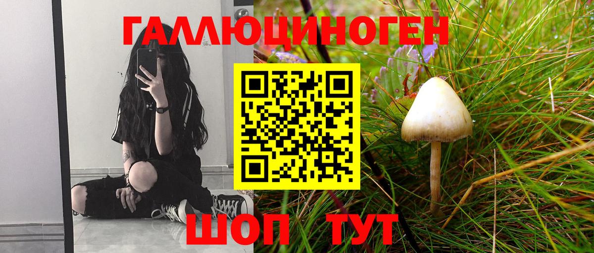 Галлюциногенные грибы GOLDEN TEACHER  Вход с VPN  Сургут  Галлюциногенные грибы прущие грибы 